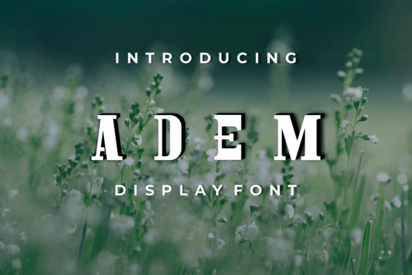 Adem: A Modern Serif Font for Digital Confidence