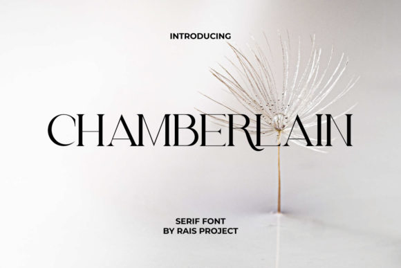 Chamberlain Font: The Balanced Serif for Business Branding