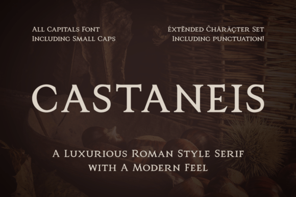My Small Business Brand Upgrade with Castaneis
