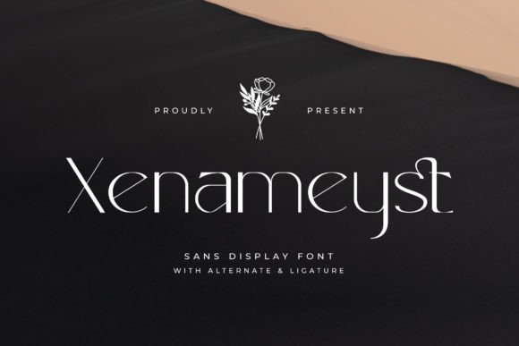 Xenameyst: A Sans Serif with Quiet Confidence